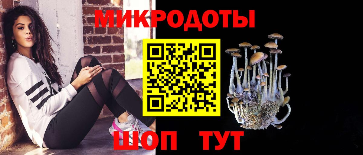 Хабаровск  Галлюциногенные грибы Magic Shrooms  где можно купить   Вход с VPN 